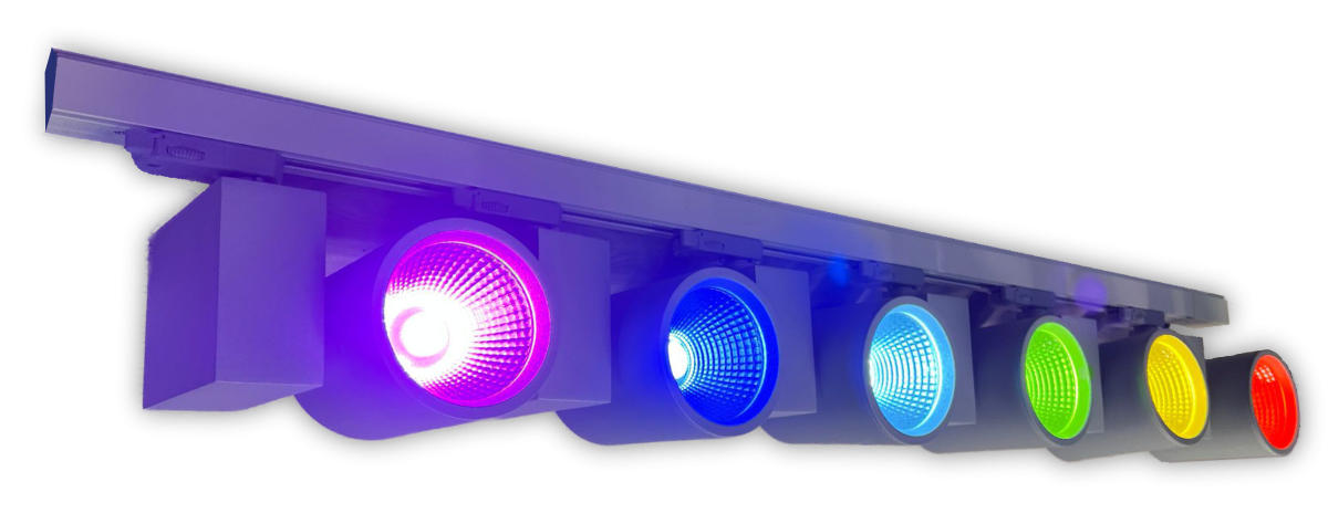 LED ARTIST multicolour Stromschienenstrahler mit DALI oder CASAMBI Steuerung